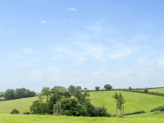 Farm Office View