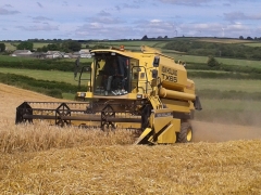 Harvest time