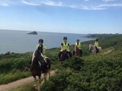 Wembury Bay Riding School