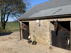 Stabling for your horse