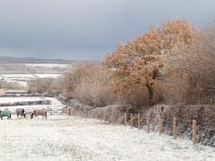 Winter day