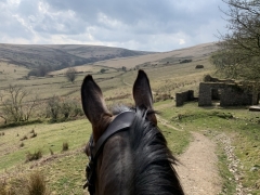 Riding on Exmoor towards Exehead at Hoaroak