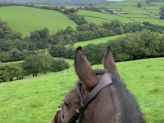 View across Hollacombe