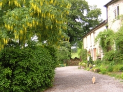 First view of Anstey Mills Cottage in summer