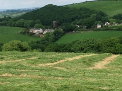 View to Halwell