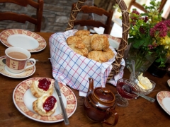 freshly baked Devon cream tea