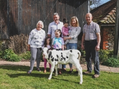 family & calf