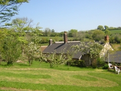 Former orchard - large semi enclosed garden