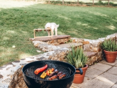 bbq
