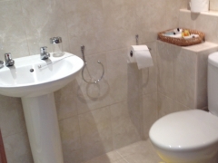 Ensuite shower