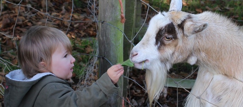 Child Friendly Cottages Devon