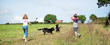 Pet Friendly Holidays in Devon