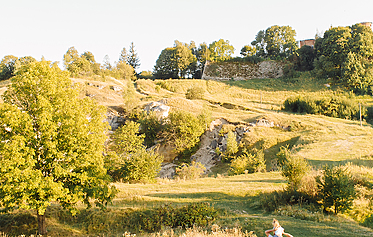 5 Reasons a Countryside Stay Beats a Hotel in Devon