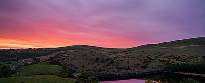 Dartmoor in Autumn