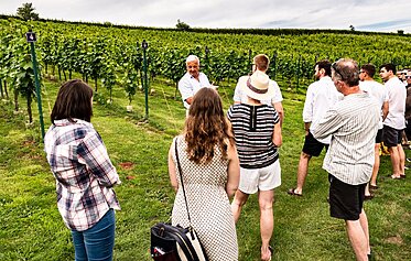 Celebrate English Wine Week in Devon: Vineyards, Wine Tasting and Local Places to Sip Celebrate English Wine Week in Devon: Vineyards, Wine Tasting and Local Places to Sip