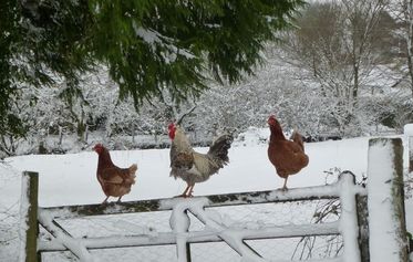 Winter Cottage Breaks Devon