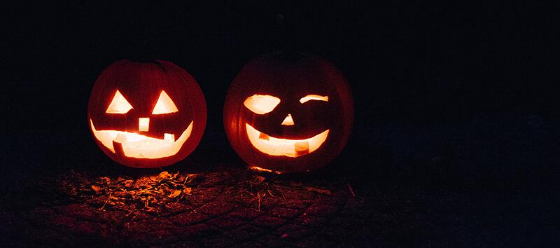 Where To Pumpkin Pick in Devon