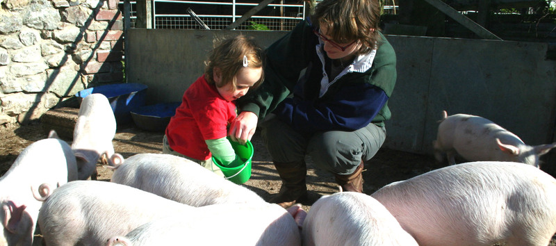 Working Farm Holidays in Devon