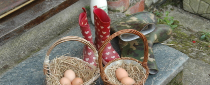 Glamping Holidays in Devon