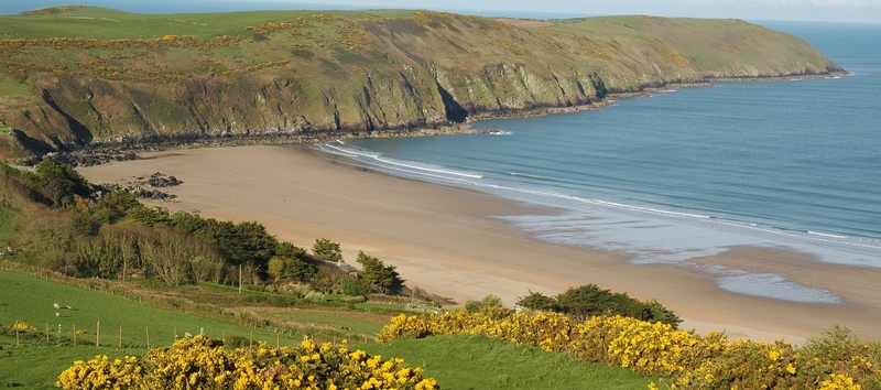 Farm Holidays in Devon Near a Beach