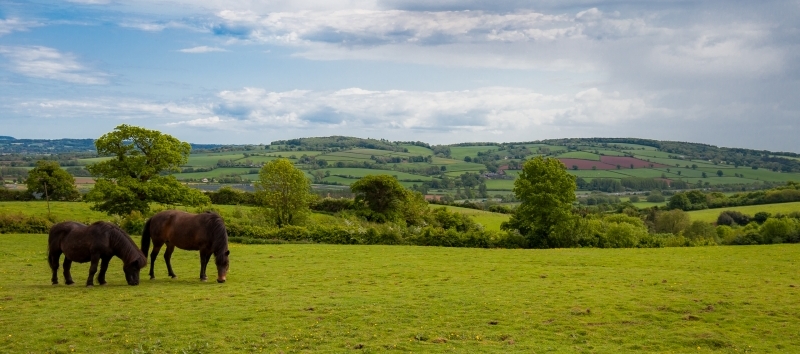 Short Breaks in Devon