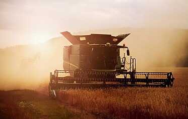 What’s Happening on Devon Farms in Late Summer?