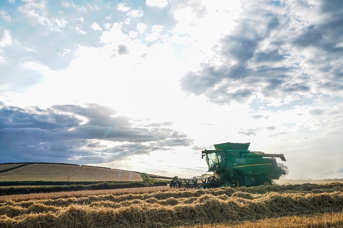 Farmer working the field