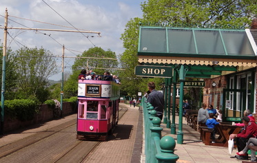 Seaton Tramway