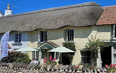 May Cottage Croyde