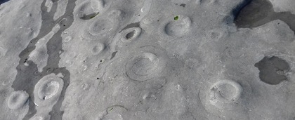 Lyme Regis Fossil Walks