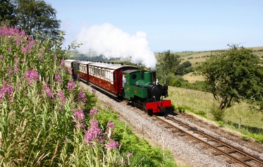 Woody Bay Station