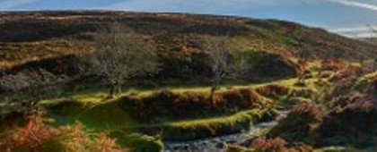 Exmoor Tarr Steps