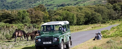 Exmoor