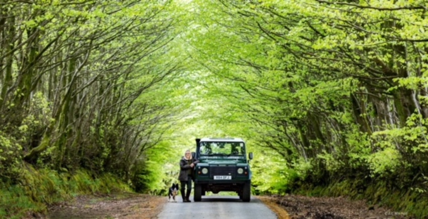 Exmoor
