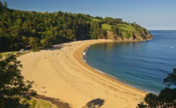 South Devon B&B's and Holiday Cottages