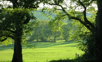 Exeter and the Heart of Devon