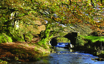 Exmoor Holiday Cottages and B&B