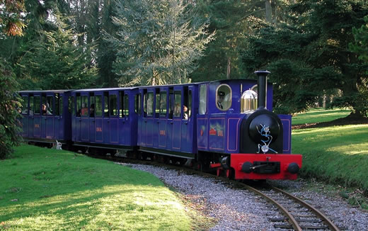 Bicton railway