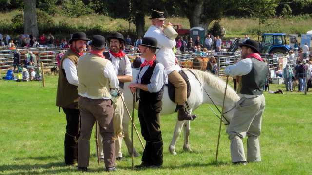 Widecombe fair 2