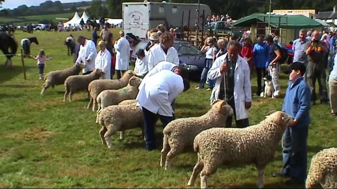 Widecombe fair