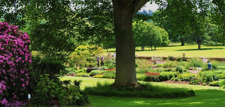 killerton_house_garden_view