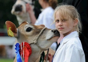 Honiton show 2