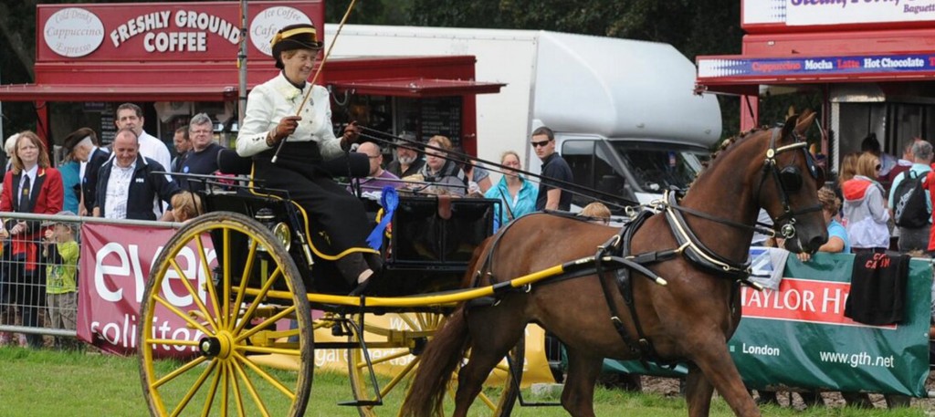 Honiton show 4