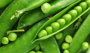 sugar snap peas