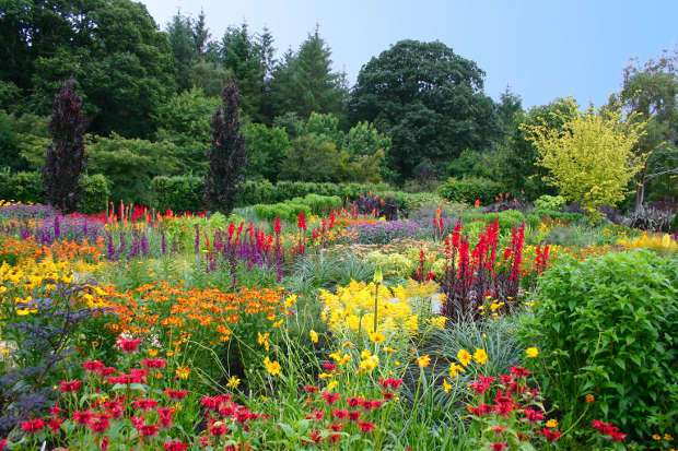 RHS_Rosemoor_2