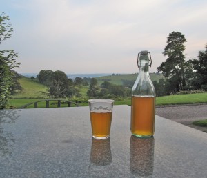 Cider bottles and view- Fursdon