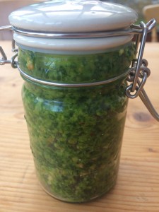 Wild garlic pesto