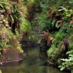 Lydford Gorge river