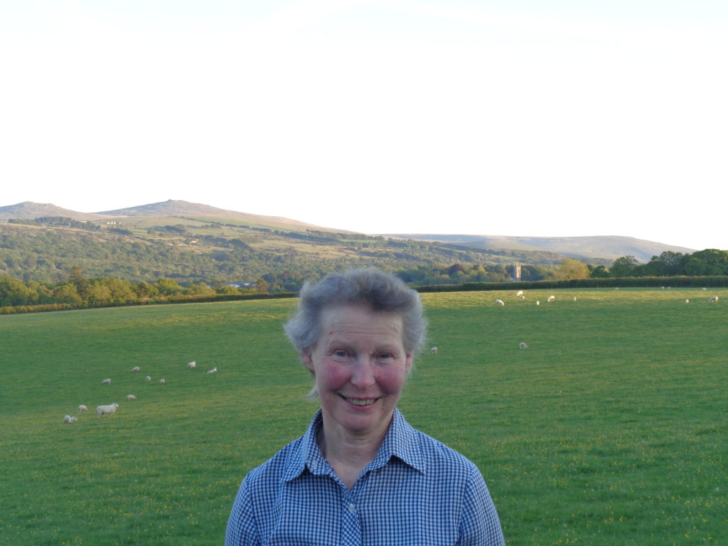 Ruth Maile, Okehampton, East Hook Holiday cottages