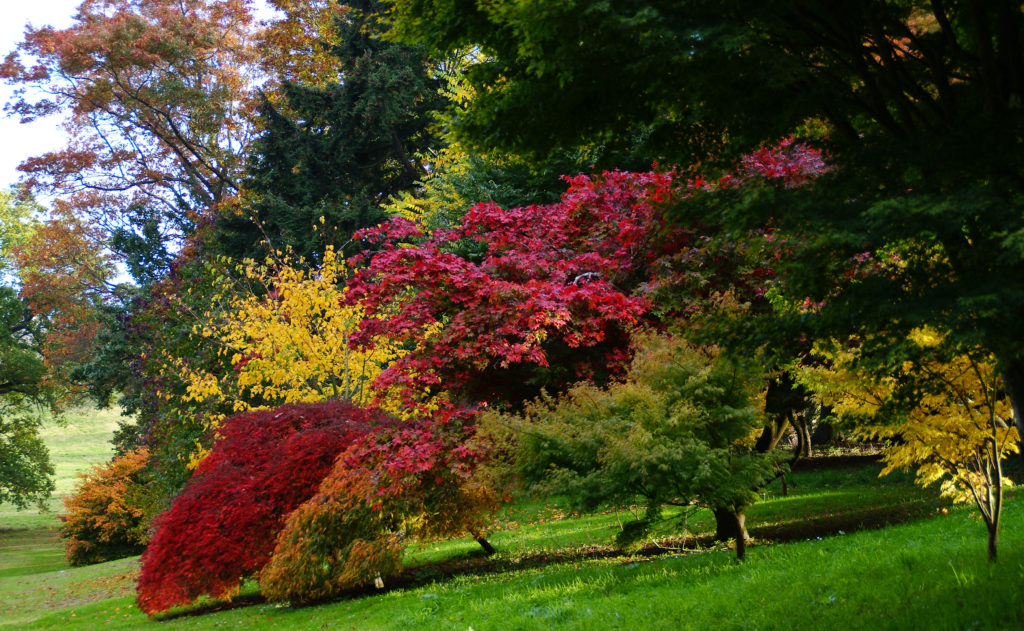 Dartington Hall Walk 